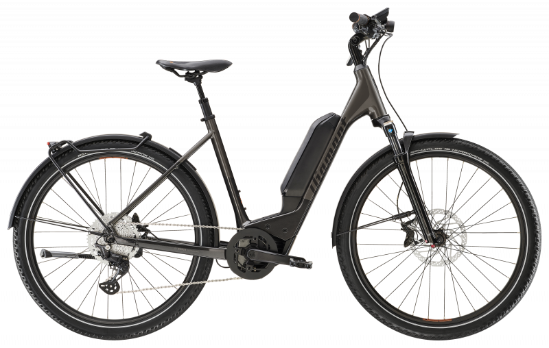 Diamand Zing 138er LTD Modell