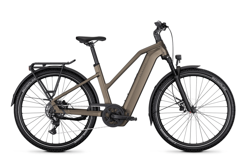 Kalkhoff Entice 5 Season 800